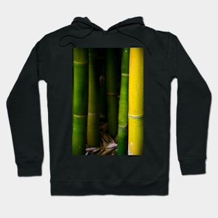 Bamboo Hoodie